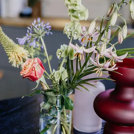 Slapen In De Molen מלון *