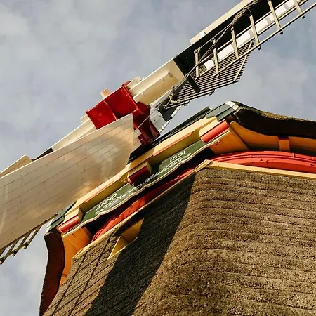 Slapen In De Molen * Arkel