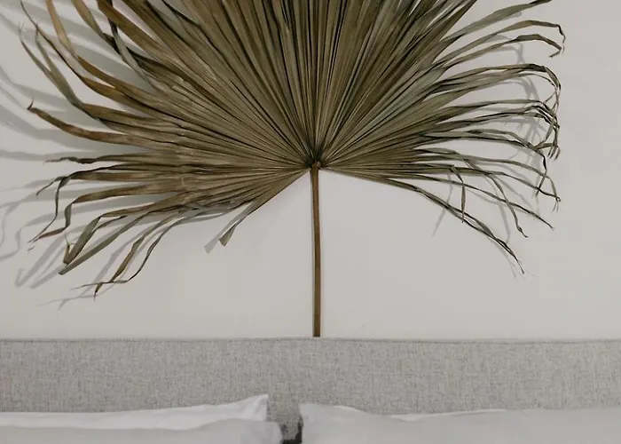 酒店 Slapen In De Molen