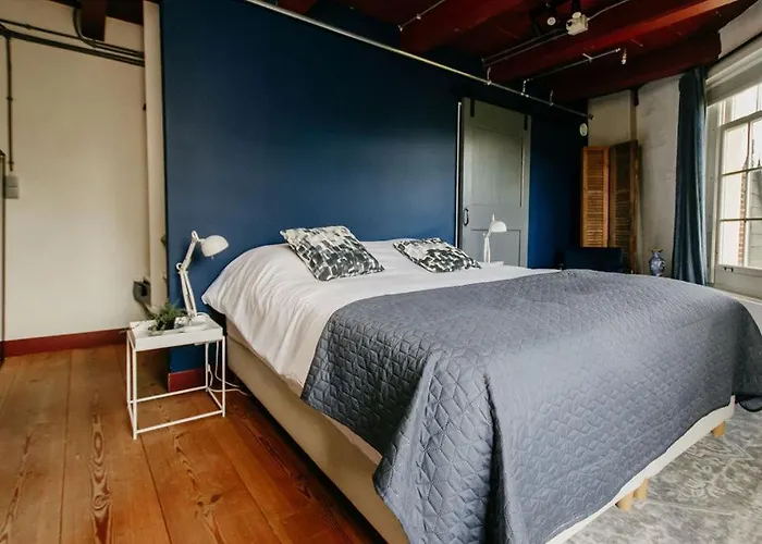 Slapen In De Molen فندق